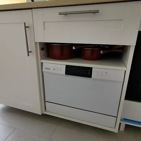 Ajoncs - Pleine Batz-sur-Mer