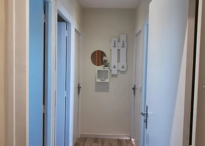 Ajoncs - Pleine Batz-sur-Mer