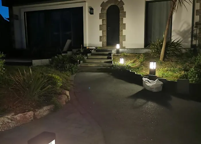 Ajoncs - Pleine Batz-sur-Mer