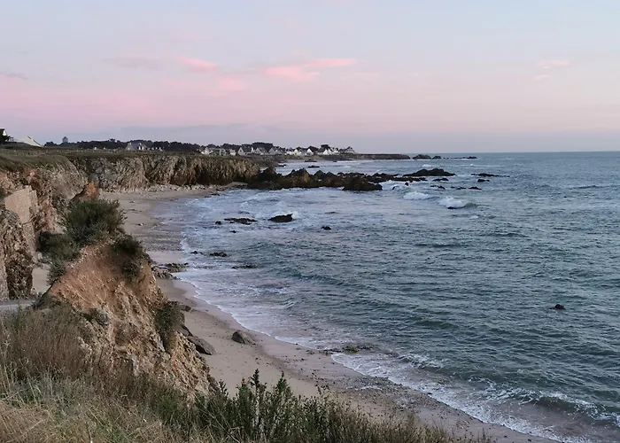 Ajoncs - Pleine Appartement