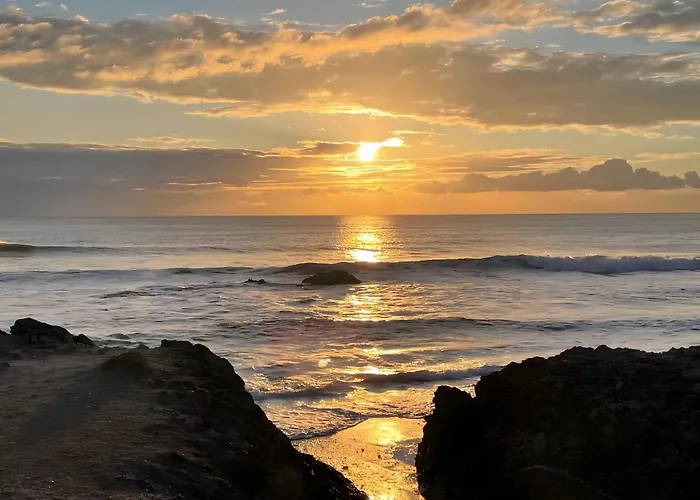 Ajoncs - Pleine Appartement